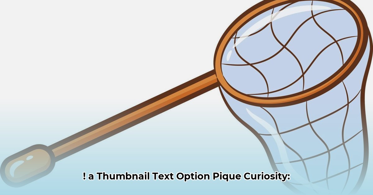 net-worth-of-joey-lawrence